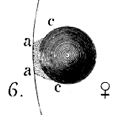 Bergman 1761 black drop
sketch